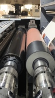 Machine d'impression flexographique pour boîtes d'emballage avec estampage à chaud multicolore