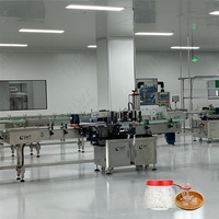 Verse Gestoofde Vogelnest Vulmachine Productielijn