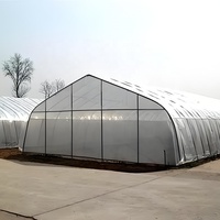 Invernadero Grande con Estructura Metálica para Horticultura, Invernadero Tropical con Cubierta de Láminas de Policarbonato, Mejor Precio