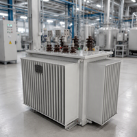 Transformateur de distribution triphasé immergé dans l'huile S22-M-630 10kV vers 400V Dyn11 à enroulement en cuivre, refroidissement ONAN pour réseau de distribution