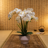 Tanaman Anggrek Phalaenopsis Buatan Realistis dalam Pot dengan Bahan Sutra+PU 50cm Dekorasi Mewah untuk Dalam Ruangan