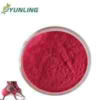 Poudre de jus de betterave rouge premium 99% naturelle, riche en nitrites, vitamine C, pour boissons, pâtisserie, colorant alimentaire, qualité alimentaire, emballée sous vide