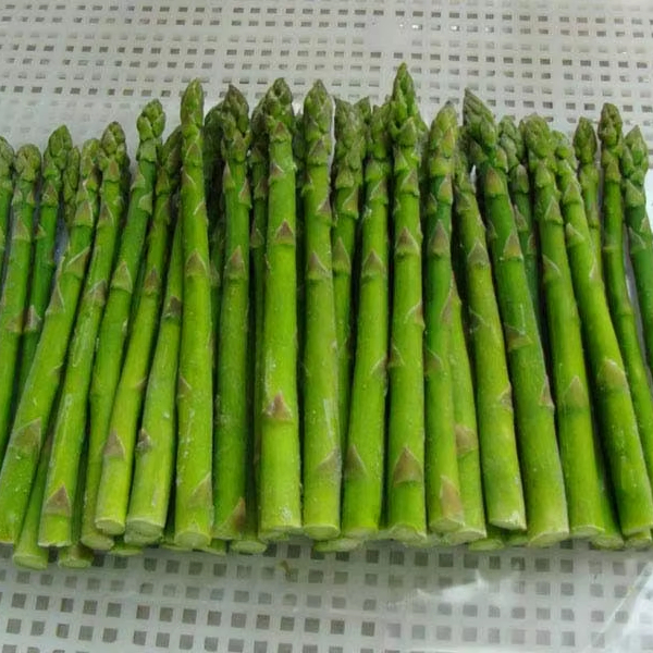 l HACCP IQF Chinese Good Quality Green Fresh Vegetable Whole Cut Frozen Asparagus