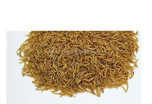 गर्म बिक्री सूखे थोक मेवर्म - Product Image 6