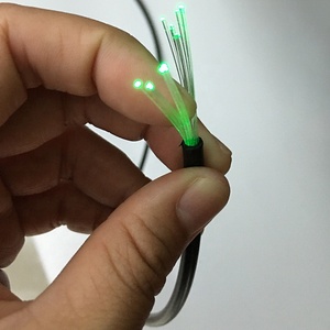 <span class=keywords><strong>China</strong></span> Source Factory Precio bajo Venta al por mayor 0,75mm 1mm 2mm 3mm End Glow Pmma Cable de luz de fibra óptica - Product Image 5