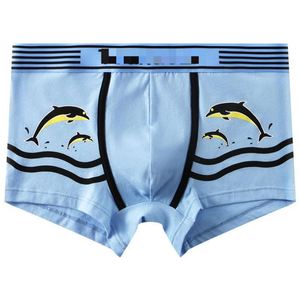Nouvelle collection printemps-été : Caleçons boxers en coton pour hommes, taille mi-haute, tendance jeunesse, vente en gros - Product Image 1