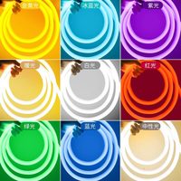 Lampe d'ambiance LED étanche pour extérieur, idéale pour l'éclairage paysager intérieur et de jardin - Bande lumineuse néon multicolore 24V