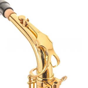 แซกโซโฟนอัลโต EB ระดับมืออาชีพ OEM หัวเบกาไลต์ เคลือบทอง ตัวเครื่องทองเหลือง คีย์คู่ เครื่องดนตรีลมสำหรับผู้เริ่มต้น พร้อมกล่อง - Product Image 5