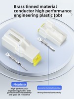 Adaptateur de connecteur de rétroviseur automobile DJ7041F-0.6-11-21 pour les connexions de câbles du système d'énergie solaire FPC 3A04FW/3A04MW
