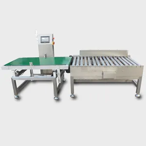 Công Suất Lớn Xoay Đầu Có Trọng Lượng Quy Mô Checkweigher 0.5G Độ Chính Xác Kiểm Tra Trọng Lượng Máy Kiểm Soát Cho Thực Phẩm