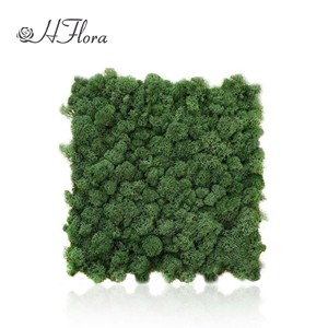 Kit <span class=keywords><strong>de</strong></span> <span class=keywords><strong>décoration</strong></span> murale en mousse <span class=keywords><strong>de</strong></span> feuilles vertes naturelles préservées, panneau design en boîte pour la <span class=keywords><strong>décoration</strong></span> <span class=keywords><strong>de</strong></span> jardin vertical intérieur - Product Image 5