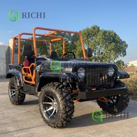 Mini Jeep Willys Richi 200cc 4 places, Quad 125cc 2 places pour enfants, essence, moteur 3000W, batterie 60V, 4x4, buggy