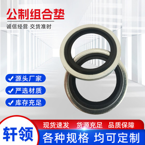 Joint métrique combiné, diamètre intérieur 15 mm, épaisseur 1 mm, double couche, étanchéité hydraulique pour usage industriel - Product Image 5