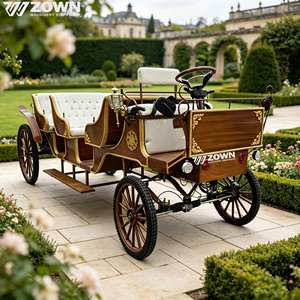 Voiture de tourisme électrique sans chevaux rechargeable pour complexe hôtelier, parc à thème, cérémonie de mariage, opération commerciale - Product Image 1