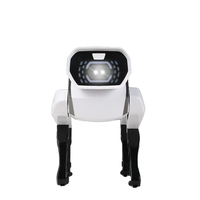 Perro Robot Interactivo Inteligente con Control Remoto, Simulación de IA, Programable, Electrónico, Canta, Baila, Robot de Protección para Consumidores