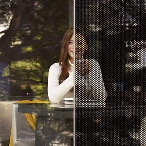 Perforated <b>Vinyl</b> See Sticker UV Printing Heat Rejection Building Window Film Mesh One Way Vision Weather Resistant Eco-Friendly - Product Image 2