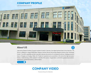 Sensor de Oxigênio OEM Lesen para 0258010048 92068775 - Novo com Garantia de 1 Ano, Alta Precisão e Sensibilidade - Product Image 6