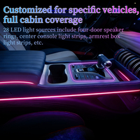 Kit de Luces Ambientales Interiores de 28 LED RGB de 12V y 10W para BYD ATTO3 2022-2024 |   Control por Voz y Aplicación |   Instalación No Destructiva