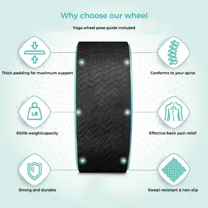 Custom Logo High Density TPE Comfortable Yoga Wheel Roller Back Wheel