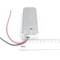 Amplificateurs de puissance RF personnalisables 50W 2100-2300MHz Module Lora GaN Module anti-drone VCO intégré