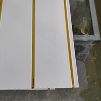 Paneles y Placas de Techo de PVC Blancos Comunes con Dos Ranuras y Líneas Doradas Impresas