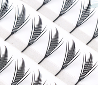 BY Anime Lash 0.07mm C D Curl MIX 8-15mm Cils Anime Préfabriqués Spire Comic, Plateau de Cils, Extension de Cils Marque Privée