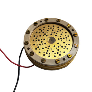Capsule de microphone grand diaphragme de 34 mm avec plaques arrière isolées en or pour remplacer la capsule K47 - Product Image 2