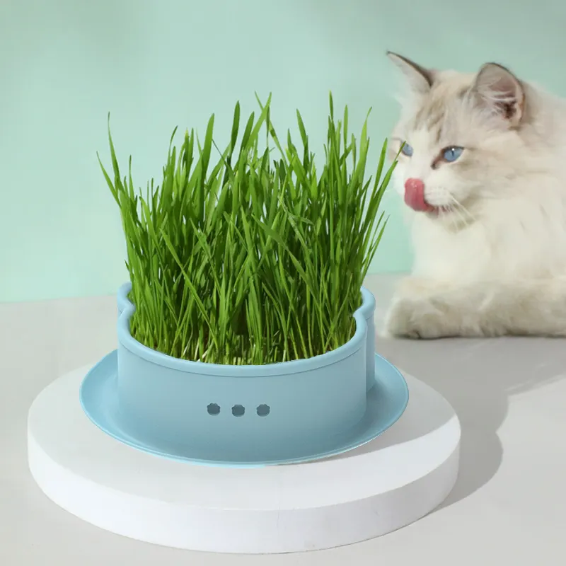뜨거운 판매 게으른 고양이 잔디 컵 고양이 토양없는 물 문화 애완 동물 잔디 고양이 건강 간식 잔디