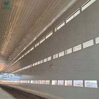Estructura de Acero Galvanizado por Inmersión en Caliente, Resistente, para Granjas Avícolas, con Diseño de Ventilación Tipo Túnel