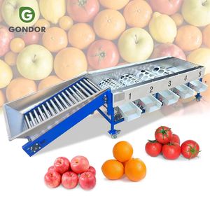 Machine de tri par calibre pour mangostains, noix, dattes, oranges, fruits, avec système de balles de transport pour le cirage - Product Image 1