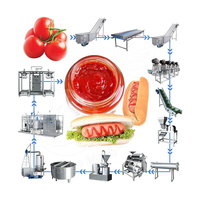 Orme Volautomatische Ketchup Maker Tomatenpuree Maken Machine Machine Tomatenpuree Fabricage Machine Procesfabriek