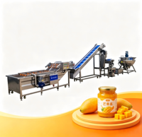 Volledig automatische productielijn voor het vullen en afsluiten van glazen potten voor de verwerking van bessenjam