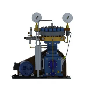 Compressore di Gas metano 1/2 hp 1/3 hp Argon 12V compressore d'aria con essiccatore d'aria