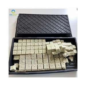 Plateau <span class=keywords><strong>pour</strong></span> plantes Plateau <span class=keywords><strong>de</strong></span> semis hydroponique 55x28.5cm <span class=keywords><strong>Pot</strong></span> <span class=keywords><strong>de</strong></span> fleurs rectangulaire en plastique <span class=keywords><strong>pour</strong></span> la culture <span class=keywords><strong>de</strong></span> graines <span class=keywords><strong>de</strong></span> plantation d'intérieur en <span class=keywords><strong>laine</strong></span> <span class=keywords><strong>de</strong></span> <span class=keywords><strong>roche</strong></span> - Product Image 5