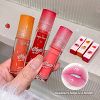 Gege Ensemble d'huile à lèvres teintée longue durée infusée aux fruits d'ours Brillant à lèvres hydratant et repulpant avec ingrédients chimiques
