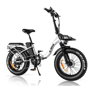 20 Inch 16 Inch Fat Tire Mountain E-Bike Ebike Electric Bicycle Various 750 Watt 14.5Ah 48V Ebike