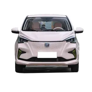 Best Selling in the World Changan E-star 5 Seat Utility Vehicle Electric Car Price Adult Electric Vehicles New Car