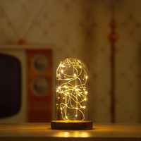 Figurine de fleur préservée en boîte surprise, dôme en verre borosilicate anti-poussière, guirlande lumineuse en fil de cuivre, petite veilleuse décorative