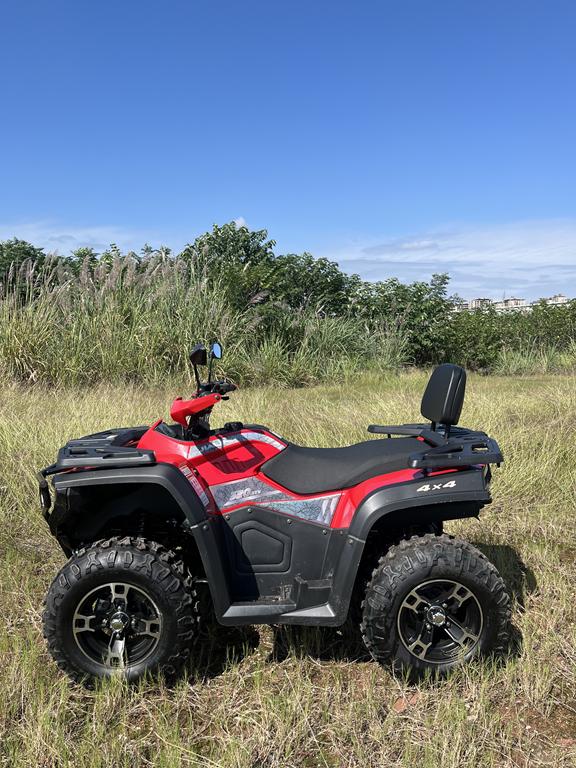 300cc with reverse gear