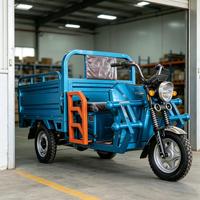 Kart électrique tout-terrain 750W 48V pour adultes avec batterie 20Ah, moteur BLDC, transmission par arbre, buggy des dunes, utilisation en extérieur, 70 km/h, charge 200 kg