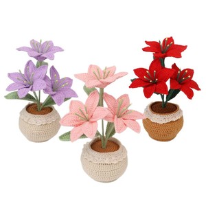 Flores Tejidas a Crochet en Maceta, Cactus Suculentos Hechos a Mano, <span class=keywords><strong>para</strong></span> Decoración <span class=keywords><strong>de</strong></span> Escritorio - Product Image 5