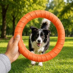 Anillo Flotante para Perros de EVA Ecológico de Tamaño Pequeño, Juguete Simple para Masticar, Interactivo y de Movimiento para Entrenamiento al Aire Libre - Product Image 2