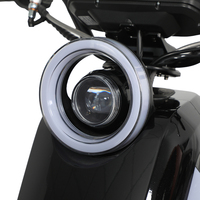 Moped électrique puissant de 1000 W avec batterie au lithium, scooter de tourisme à grande vitesse pour les trajets en ville