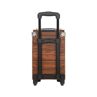 Enceinte chariot en bois GENCE Premium 8 pouces avec lumières LED RGB, entrée auxiliaire et micro sans fil pour karaoké et danse de rue