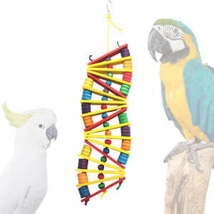 Blocs de bois multicolores Balançoire suspendue debout Nouvel oiseau Grand perroquet Oiseau en papier Jouet à mâcher Perroquets <span class=keywords><strong>Cage</strong></span> Jouet à mordre - Product Image 6