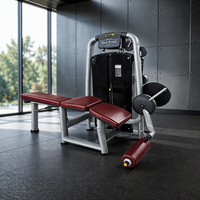 Machine à flexions de jambes allongées à résistance sélectionnable pour l'entraînement des ischio-jambiers dans les salles de sport commerciales et les centres de fitness