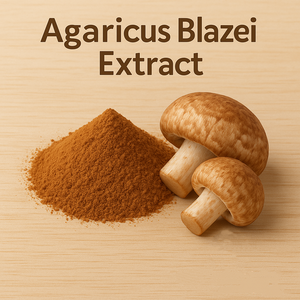 Натуральный грибной порошок 10%-50% полисахаридов, экстракт Agaricus Blazei Murrill, порошок экстракта Agaricus Brasiliensis - Product Image 3