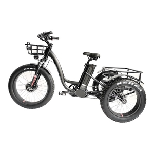 Becoto — Tricycle électrique de 24 pouces pour adulte, 3 roues, cadre en aluminium, panier de cargaison, plusieurs couleurs - Product Image 5