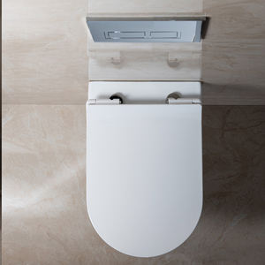 <span class=keywords><strong>Cister</strong></span> oculto pared sospeso flush rimfree WC lavado bidé deshabilitar accesorios de baño mujeres artículos sanitarios al ras de pared armario barato - Product Image 4