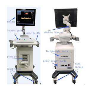 2025 Hotest Machine Máquina de ultrasonido de color vertical Doppler Máquina de ultrasonido vertical Instrumento médico para uso hospitalario